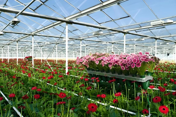 В чем разница между PE и ПВХ брезент ткани?