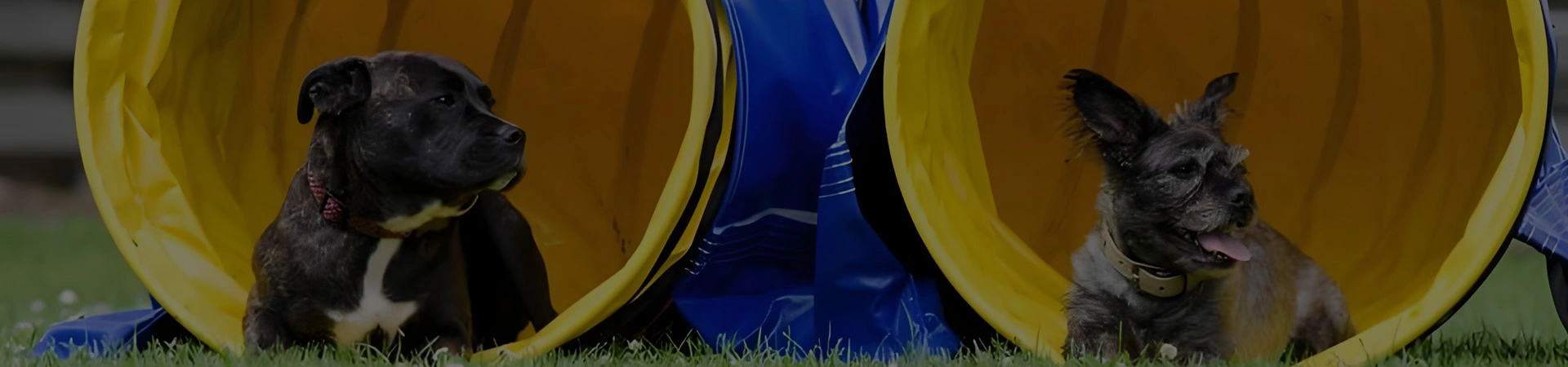 ПВХ спортивный материал