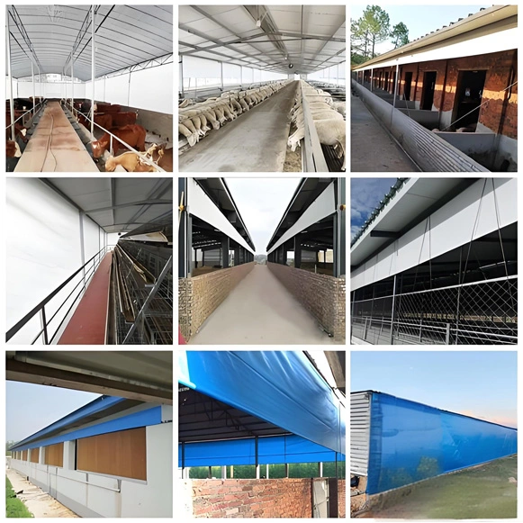 transparent-mesh-fabric